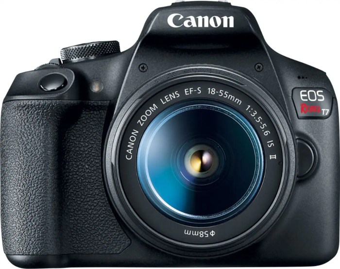 Good Canon DSLRs for Video: A Comprehensive Guide