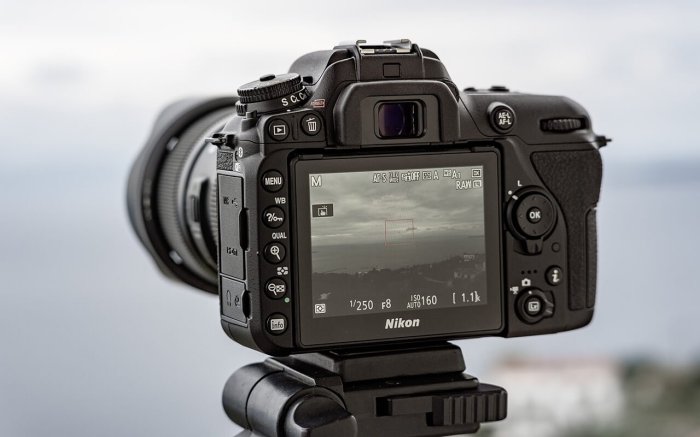 Highest MP DSLR Cameras: Capturing Every Detail