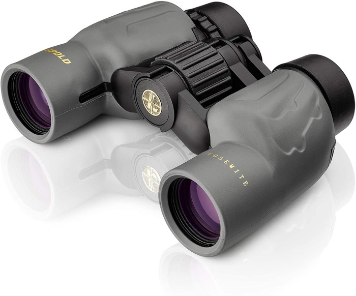 Best Binoculars with Camera for Birding: A Guide