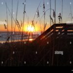 Sunrise new smyrna beach fl