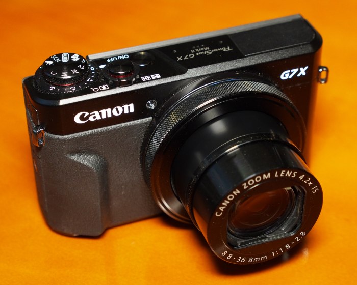 Review: Canon PowerShot G7 X Mark II - A Pocket-Sized Powerhouse -  Pictographic