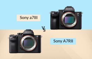Sony a7rii vs a7iii