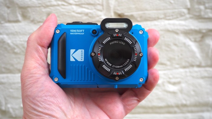 Kodak PixPro WPZ2 Sample Photos: A Closer Look
