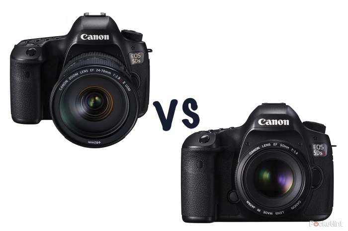 Canon 5Ds vs 5Ds R: A Detailed Comparison