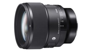 Len 18 135 nikon