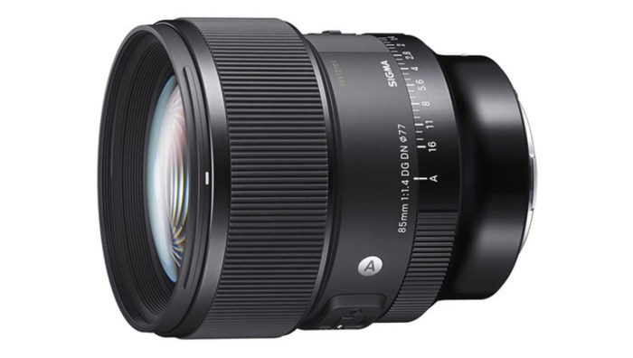 Len 18 135 Nikon: A Versatile Lens for Photographers