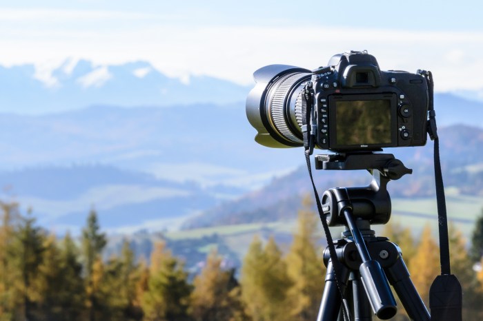Best Camera Lens for Landscape Photography